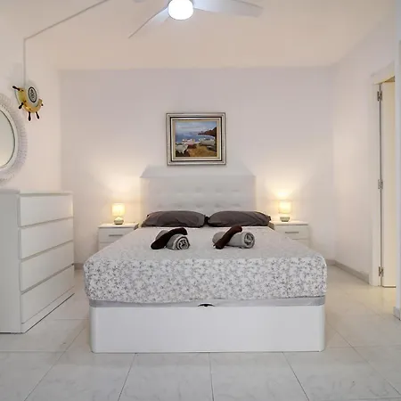 Hauzify I Orquidies *