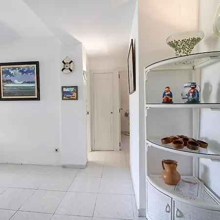 Hauzify I Orquidies *