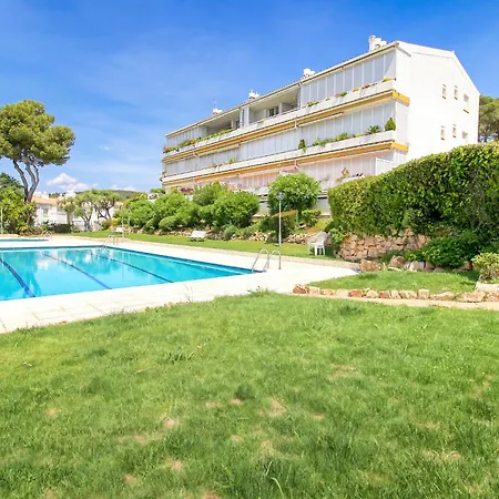 Hauzify I Orquidies * بلاتجا ذارو