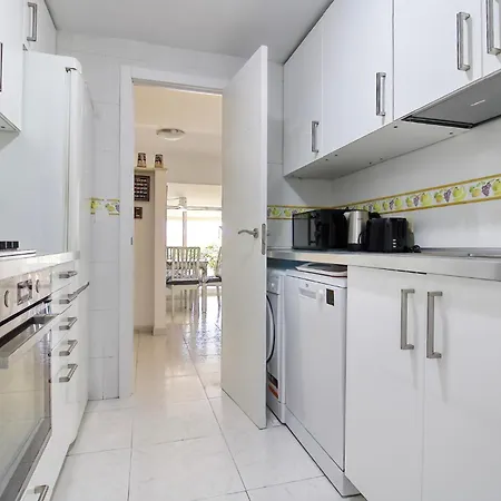 Hauzify I Orquidies * بلاتجا ذارو