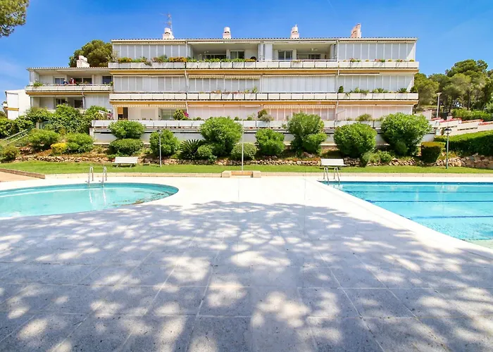 Hauzify I Orquidies *