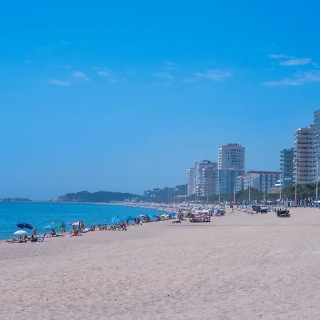 Hauzify I Orquidies Daire