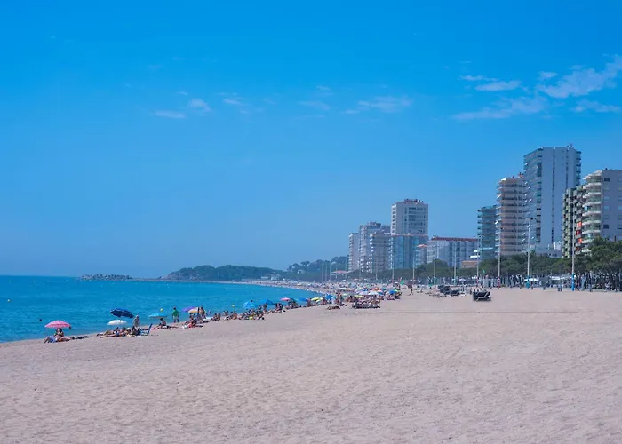 Hauzify I Orquidies Daire