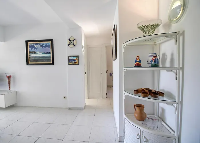 Hauzify I Orquidies *